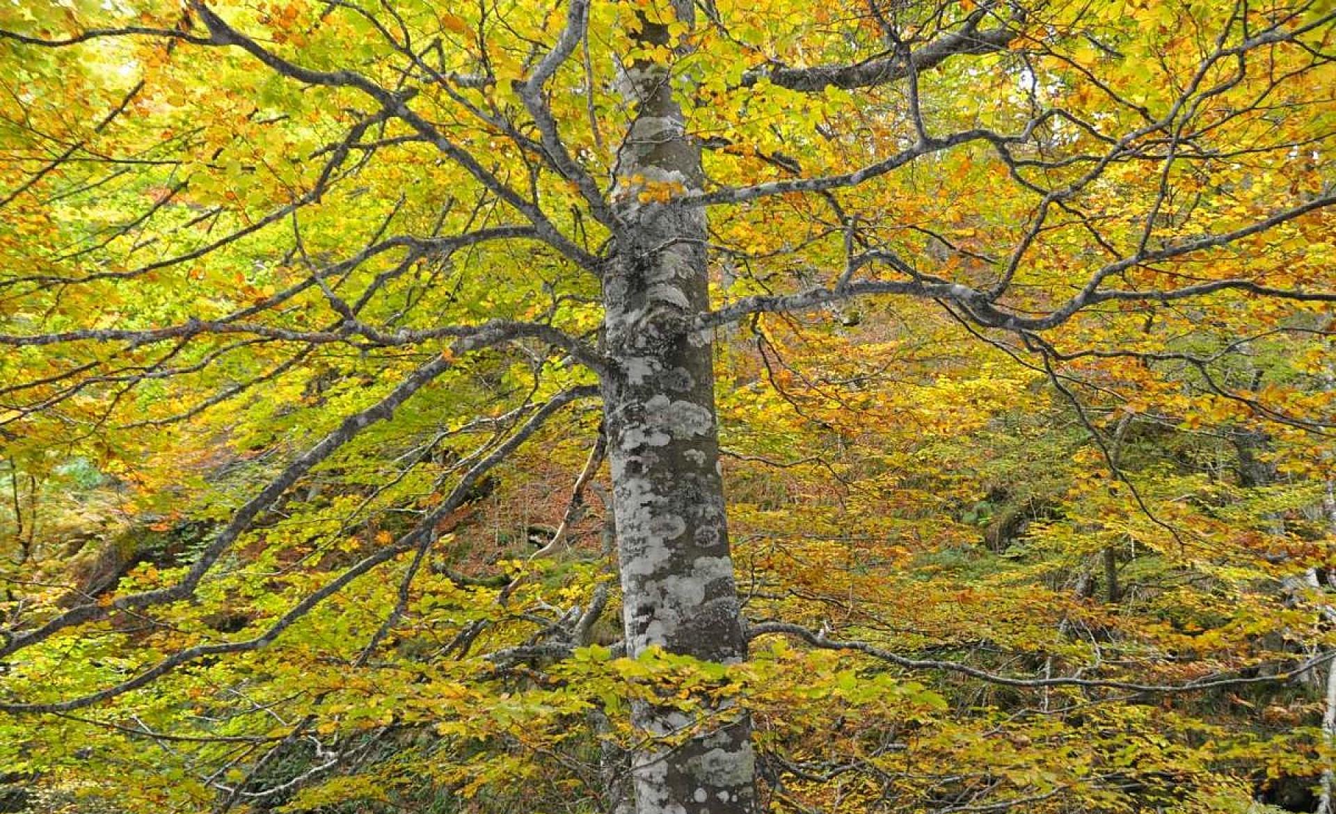 Scroll Story imagen 1