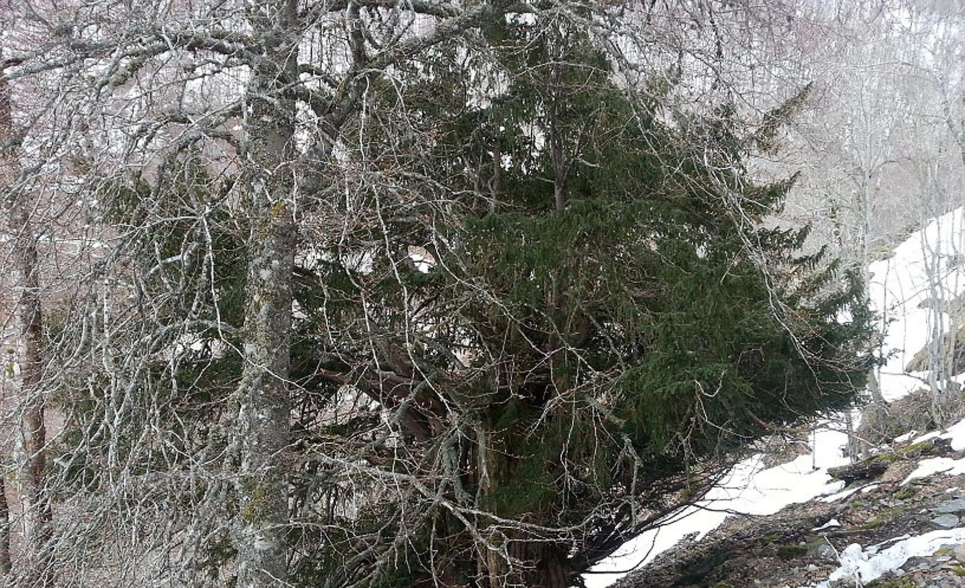 Scroll Story imagen 2