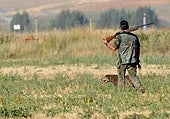 El pueblo de Burgos que acogerá la final del campeonato nacional de caza menor con perro