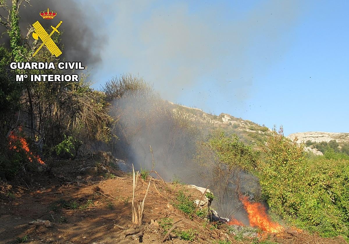 Imagen del incendio originado por los rescoldos de la barbacoa en Alfoz de Bricia.