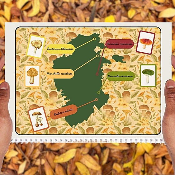 Cinco rincones de Burgos que invitan a una escapada micológica inolvidable