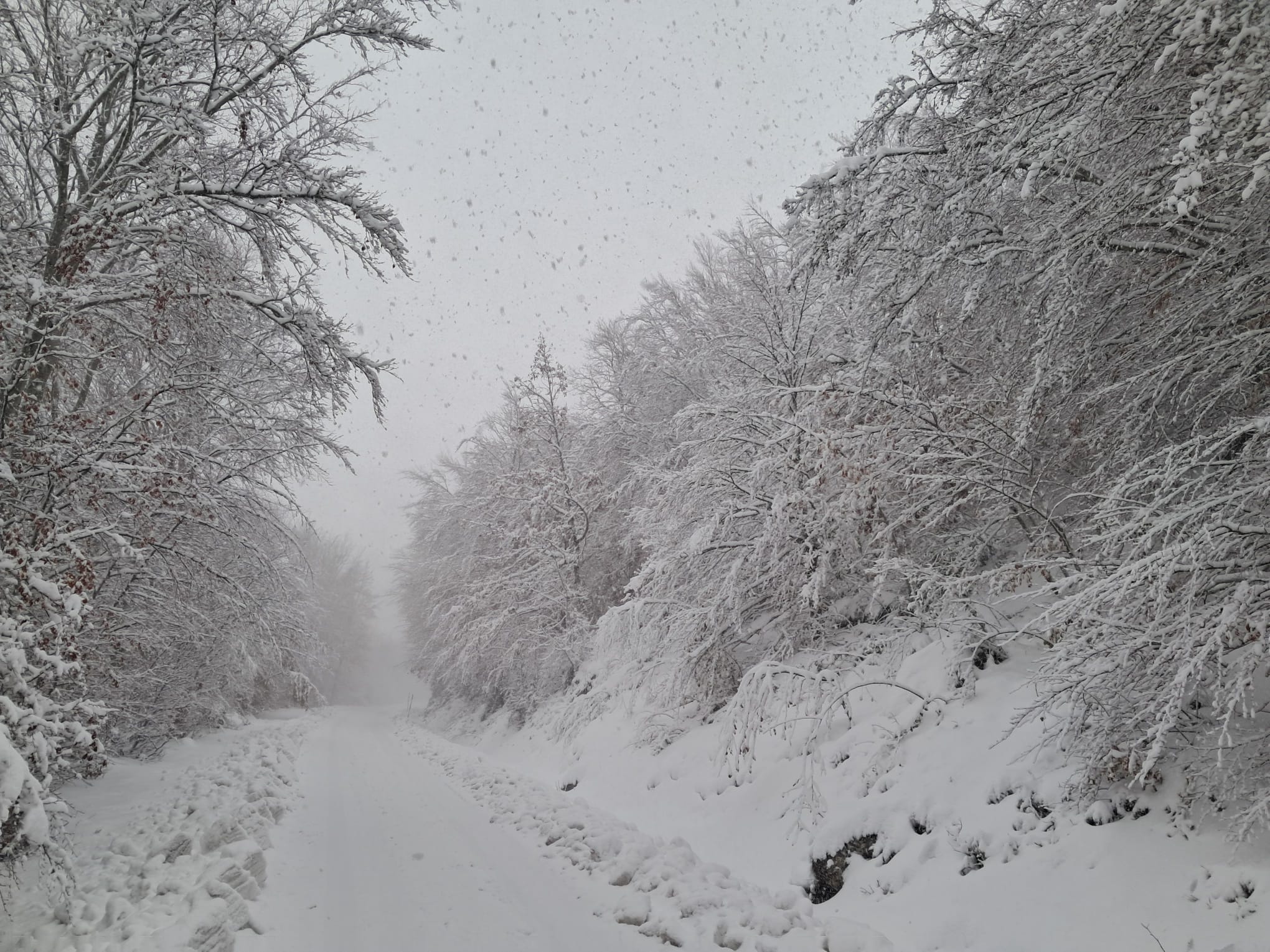 Las imágenes de la nieve que ha caído en Burgos