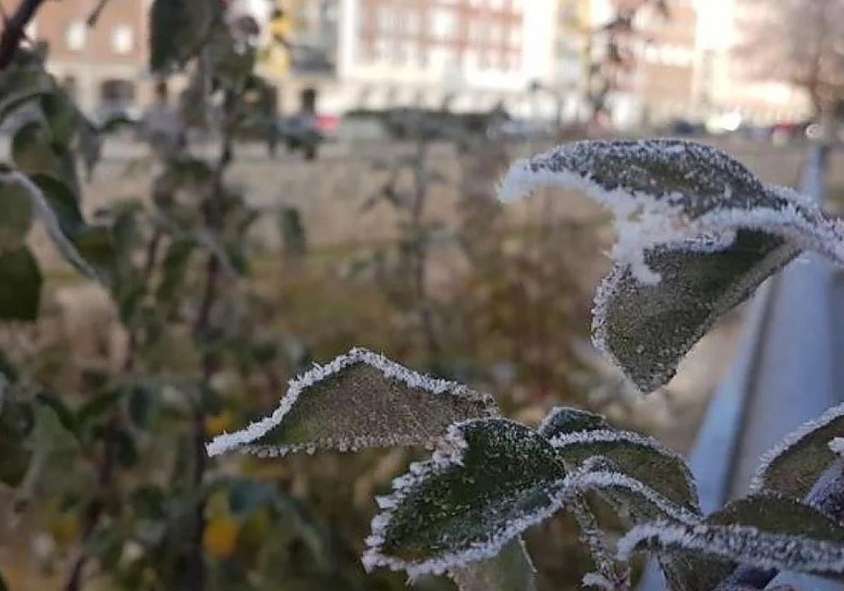 Las heladas han sido generalizadas la pasada madrugada en Castilla y León.