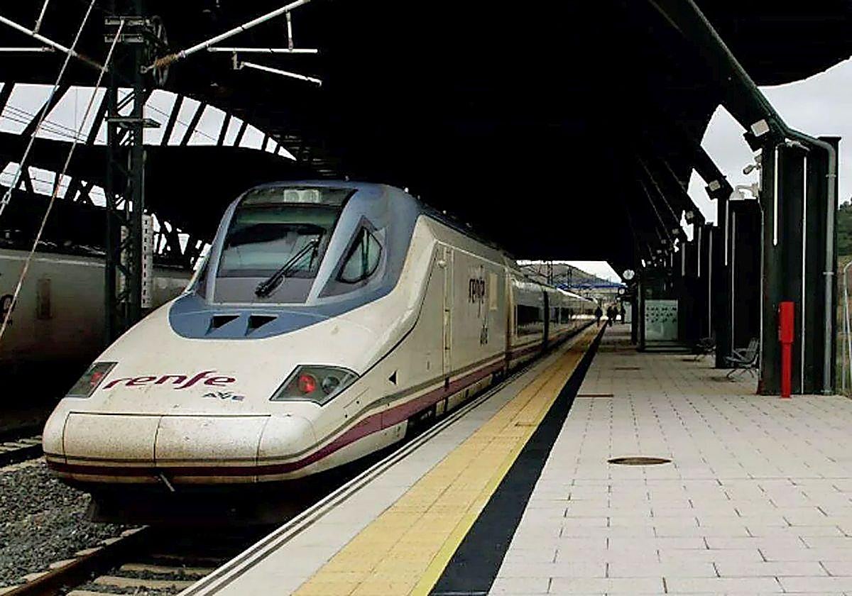 Ave estacionado en la estación Burgos Rosa de Lima.