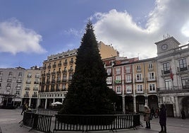 El viernes pasado se colocó el árbol en la Plaza Mayor.