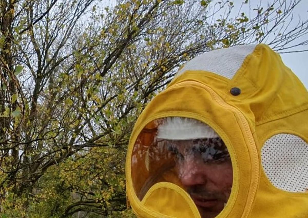 Imagen secundaria 1 - Retirada del nido de avispa asiática por parte de los Bomberos de Burgos y un vecino de Burgos con una en la mano.