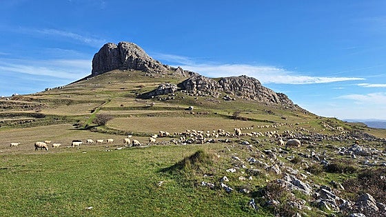Un estudio revela la importancia ambiental de la ganadería extensiva en un área del norte de Burgos