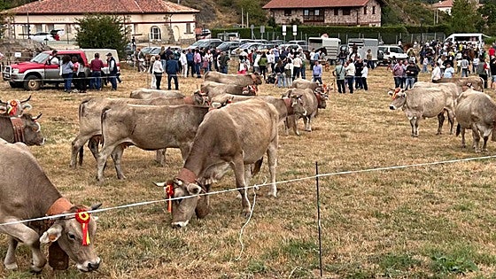 480.000 euros para impulsar la actividad agropecuaria del medio rural de Burgos