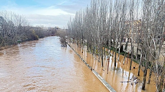 La crecida del Duero obliga a activar el plan de emergencia en Aranda