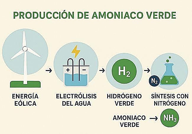 Infografía sobre la producción de amoniaco verde.