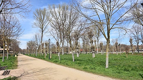 Un oasis de once hectáreas en el oeste de la ciudad de Burgos