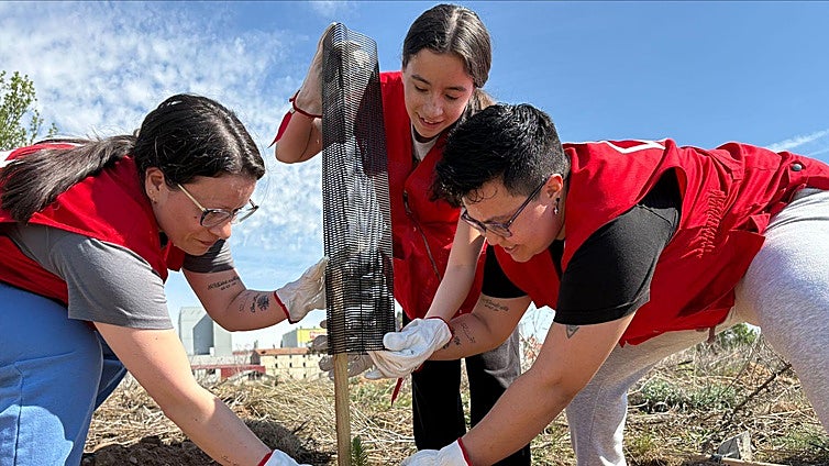Cruz Roja Castilla y León lleva a cabo una nueva reforestación en Aranda de Duero
