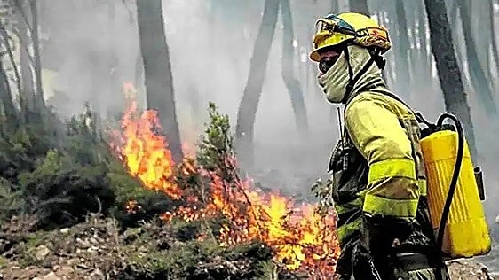 Medio Ambiente decreta el riesgo medio de incendios hasta el 11 de junio por las altas temperaturas