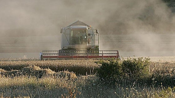 Los agricultores de Burgos recibirán casi diez millones de euros en indemnizaciones por la mala cosecha del cereal