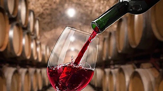 El vino de Burgos que gana el premio al Mejor Tinto Joven en una de las guías más respetadas de España