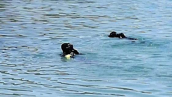 Localizan el cadáver de un pescador de Valladolid en un embalse de Burgos