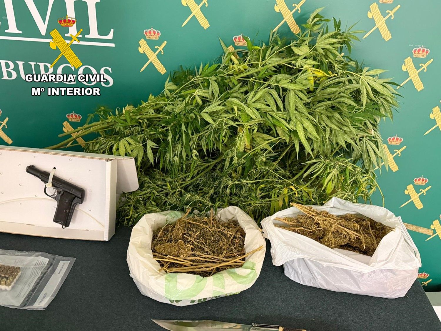 Imagen secundaria 1 - La macrooperación antidroga en dos pueblos de Burgos se salda con cuatro detenidos por tráfico y más de 50.000 euros incautados