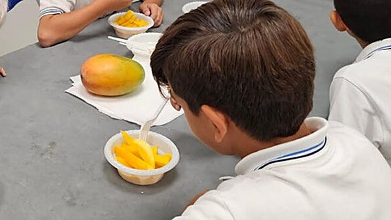 El mango toma las aulas para enseñar a cien alumnos de un pueblo de Burgos a comer sano