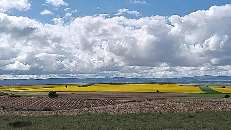 Las 22 fincas rústicas que se alquilan en un pueblo de Burgos desde 36 euros