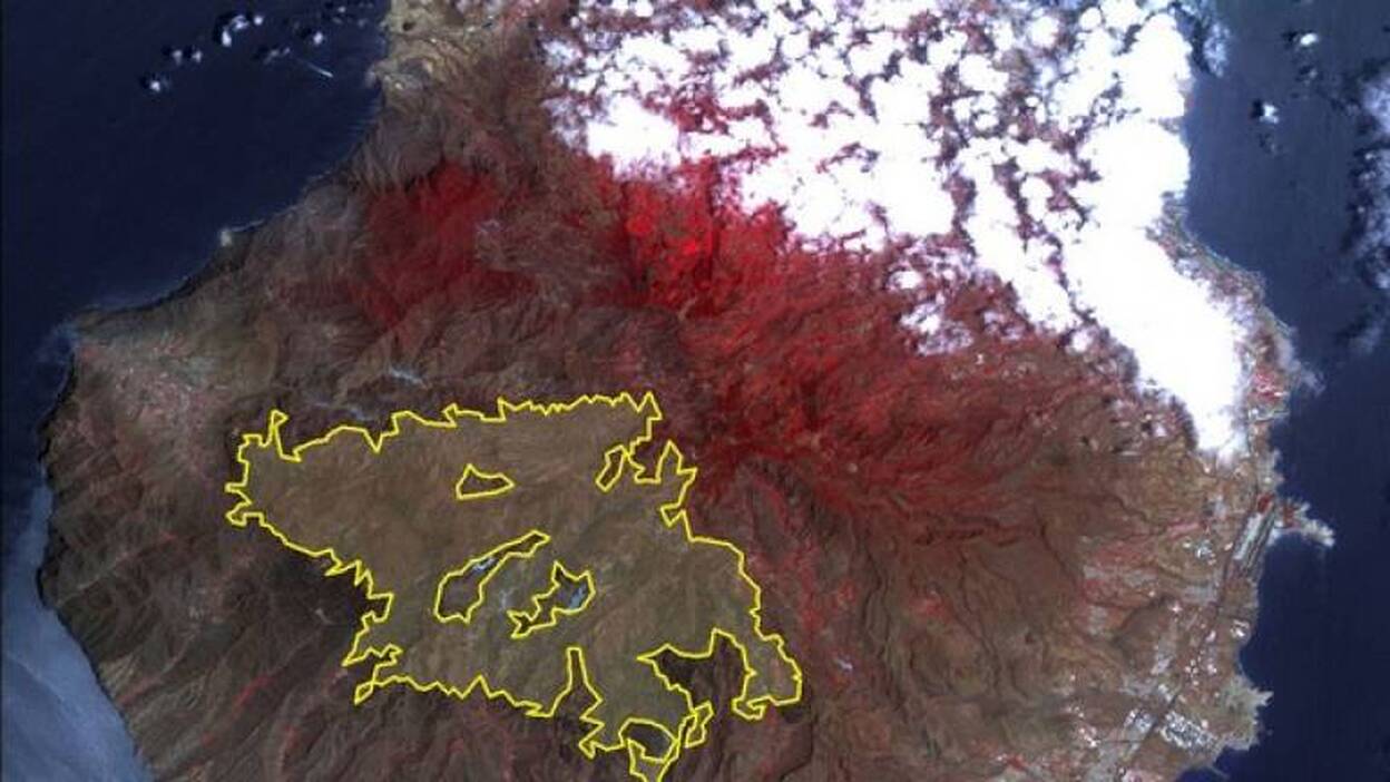 16 días después de controlado, el incendio de Gran Canaria no está extinguido