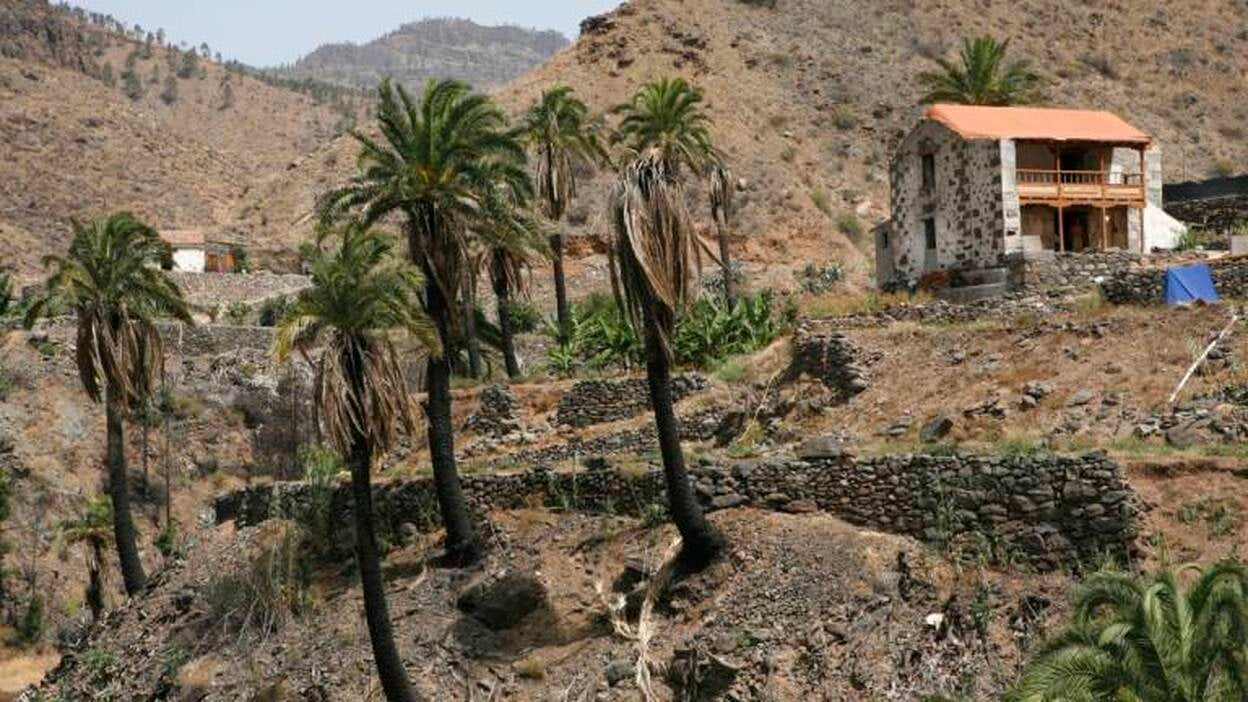 El 66% de las ayudas del gran incendio han sido denegadas