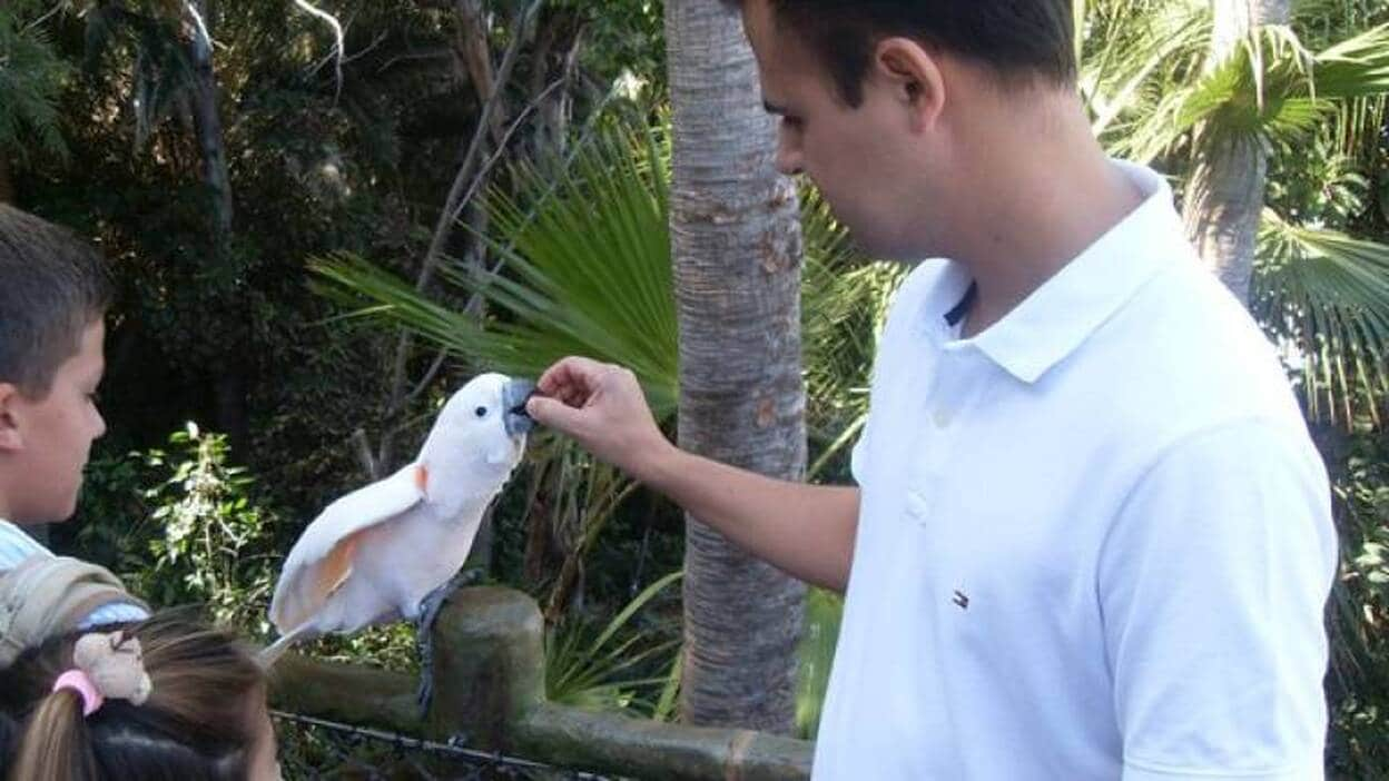 Katandra Treetops, la nueva maravilla de Loro Parque