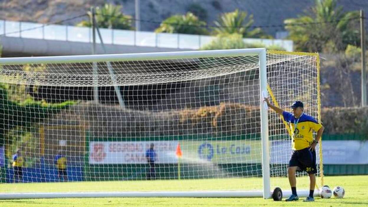 «Esto no es flor de un día»