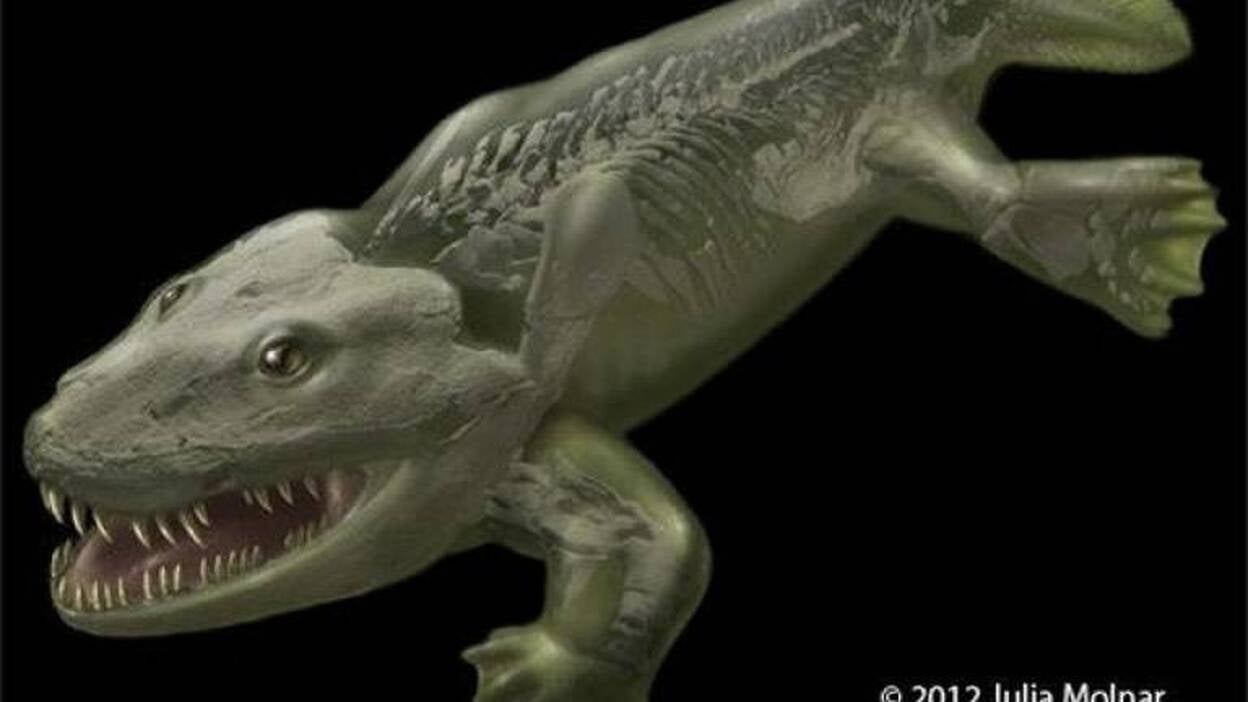 Un animal "clave" en la evolución de vertebrados no andaba como la salamandra