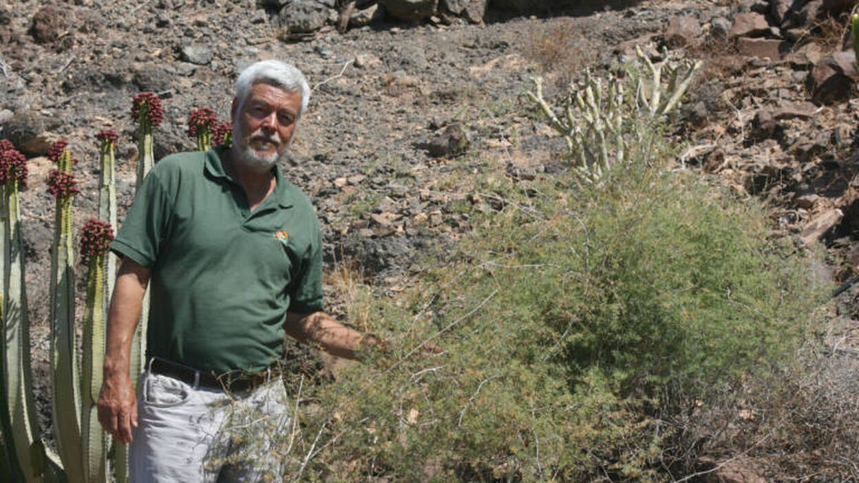 Oasis contra la extinción verde