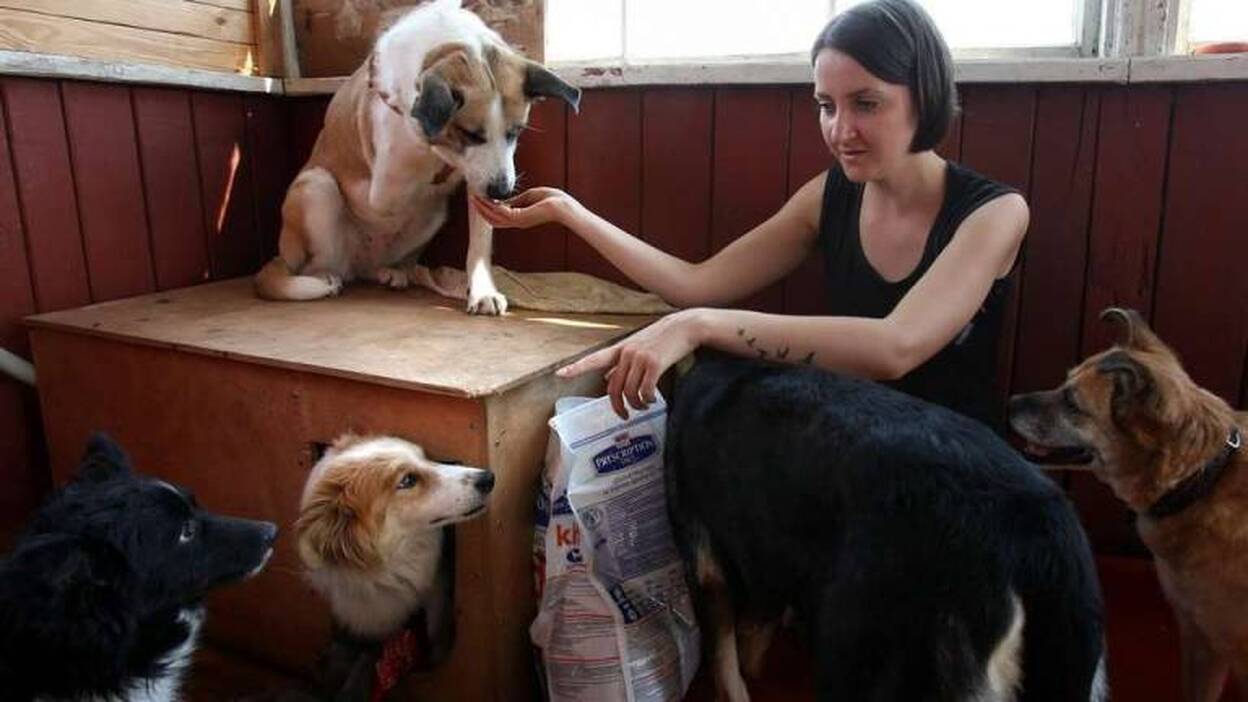 Buscando voluntarios para el cuidado de animales