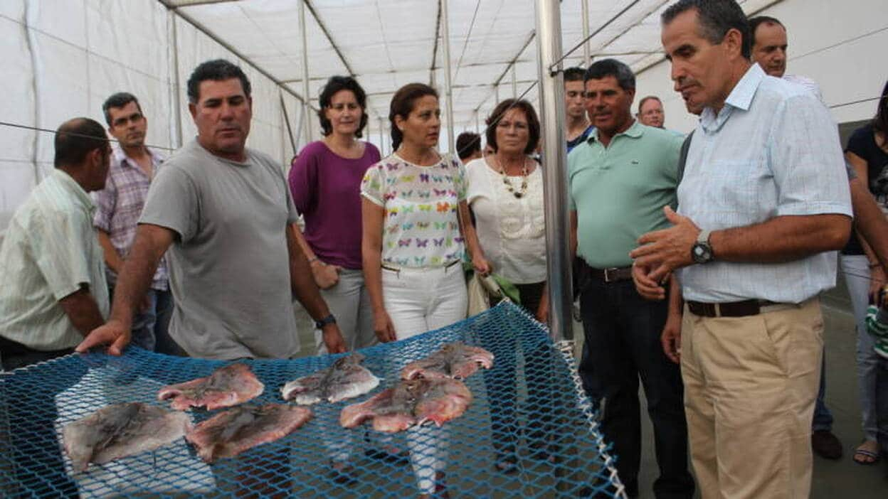 Corralejo abre el primer secadero de pescado homologado de Canarias