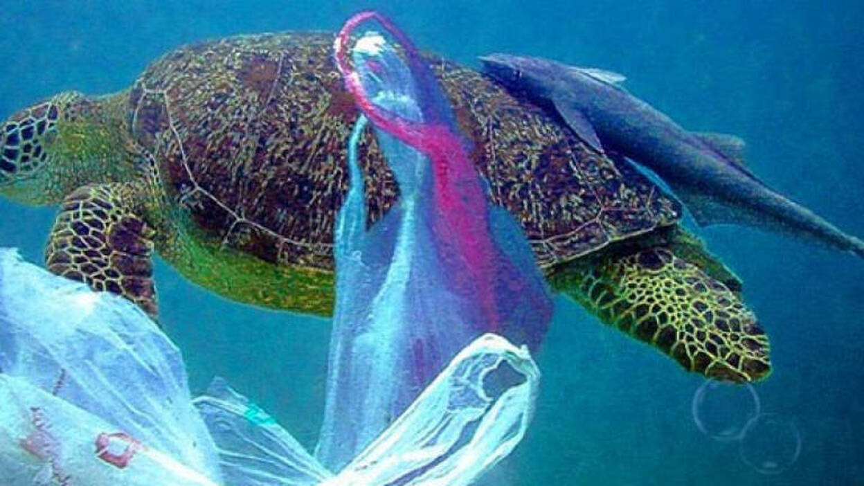 Las "sopas de plástico" de los océanos seguirán creciendo durante 500 años