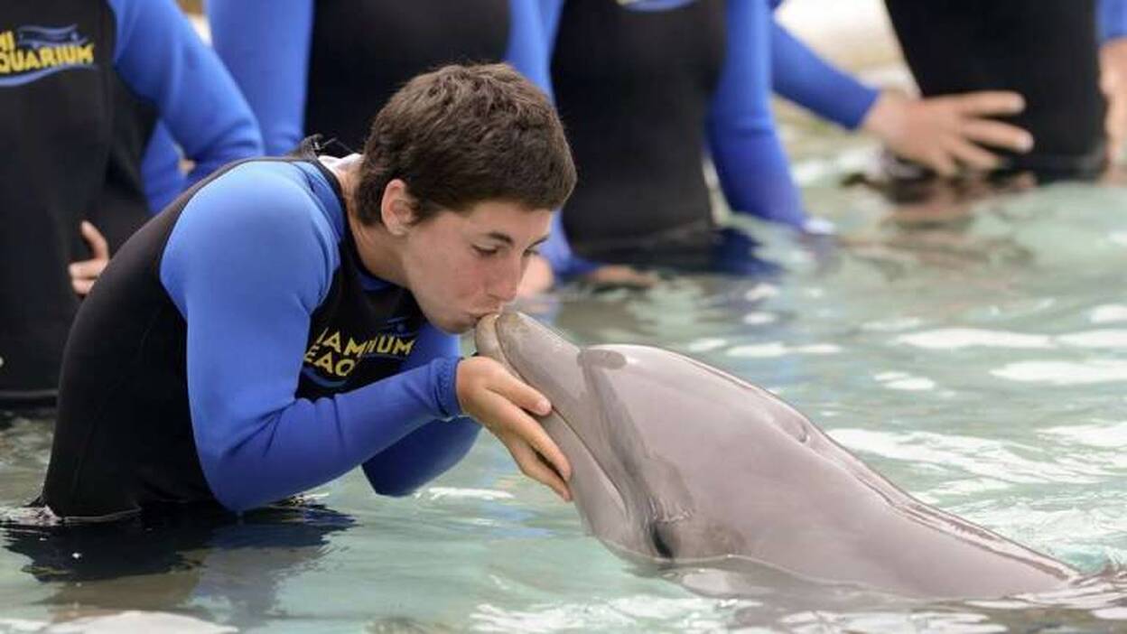 Carla Suárez y otros tenistas entre los delfines de Miami