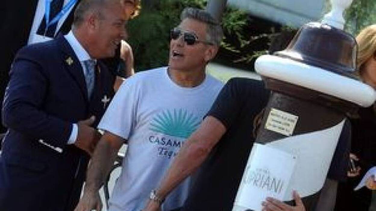 Los leones buscan su sitio para celebrar la 70 Mostra de Venecia