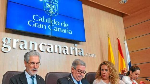 Técnicos, botánicos y especialistas revisarán la salud de los palmerales