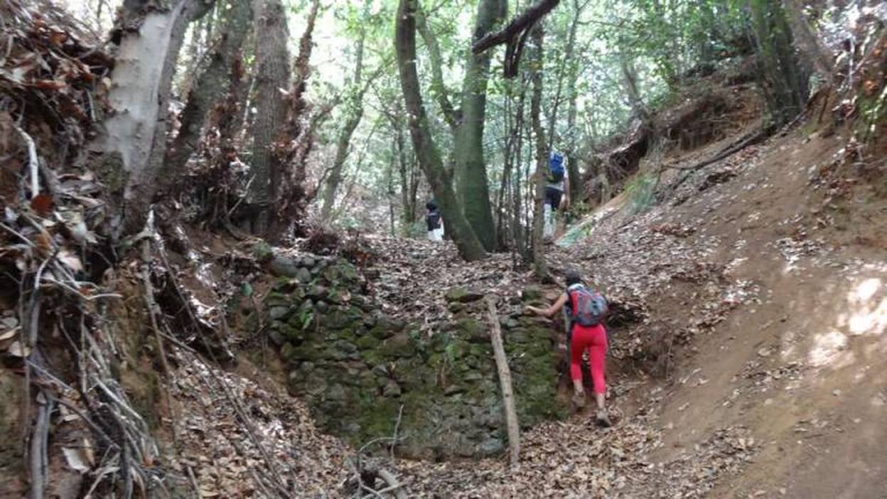 Entrenamiento a la sombra de Azuaje