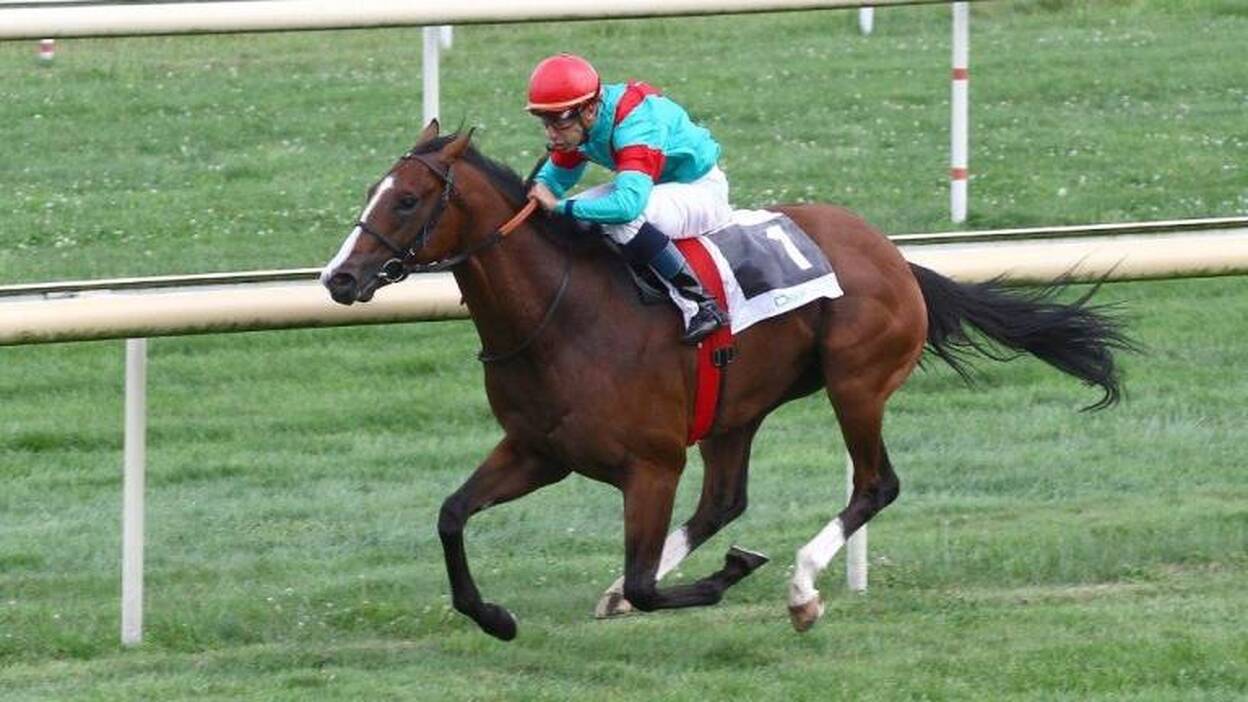 "Noozhoh Canarias", el caballo español de 900.000 euros, aspirante en París