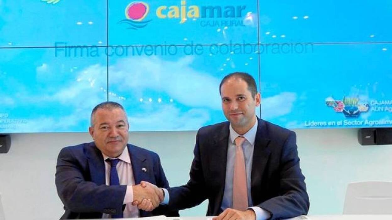 Caja Rural impulsa el sector platanero con Asprocan