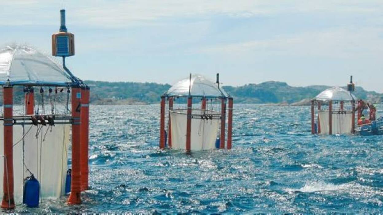 Los océanos del futuro se ensayan en Taliarte