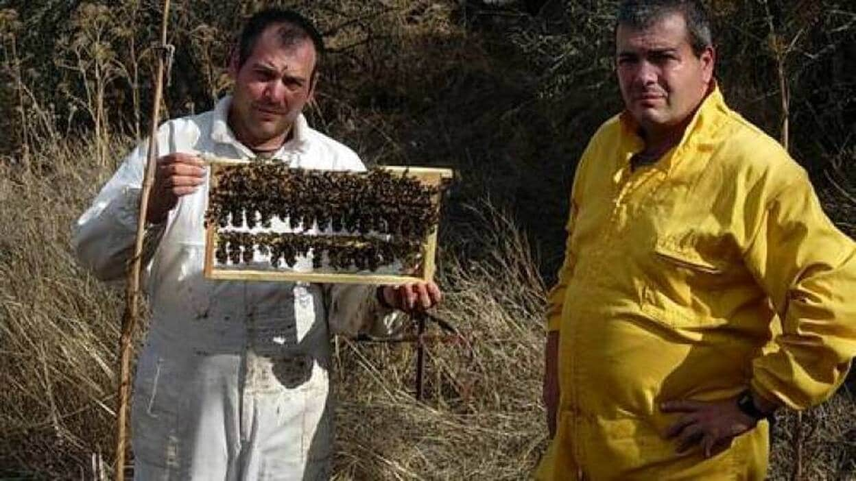 Miel de abeja guanche y desestresada