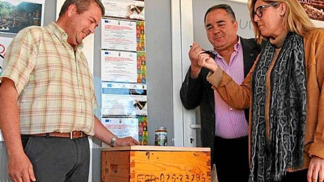 Cómo se obtiene la miel