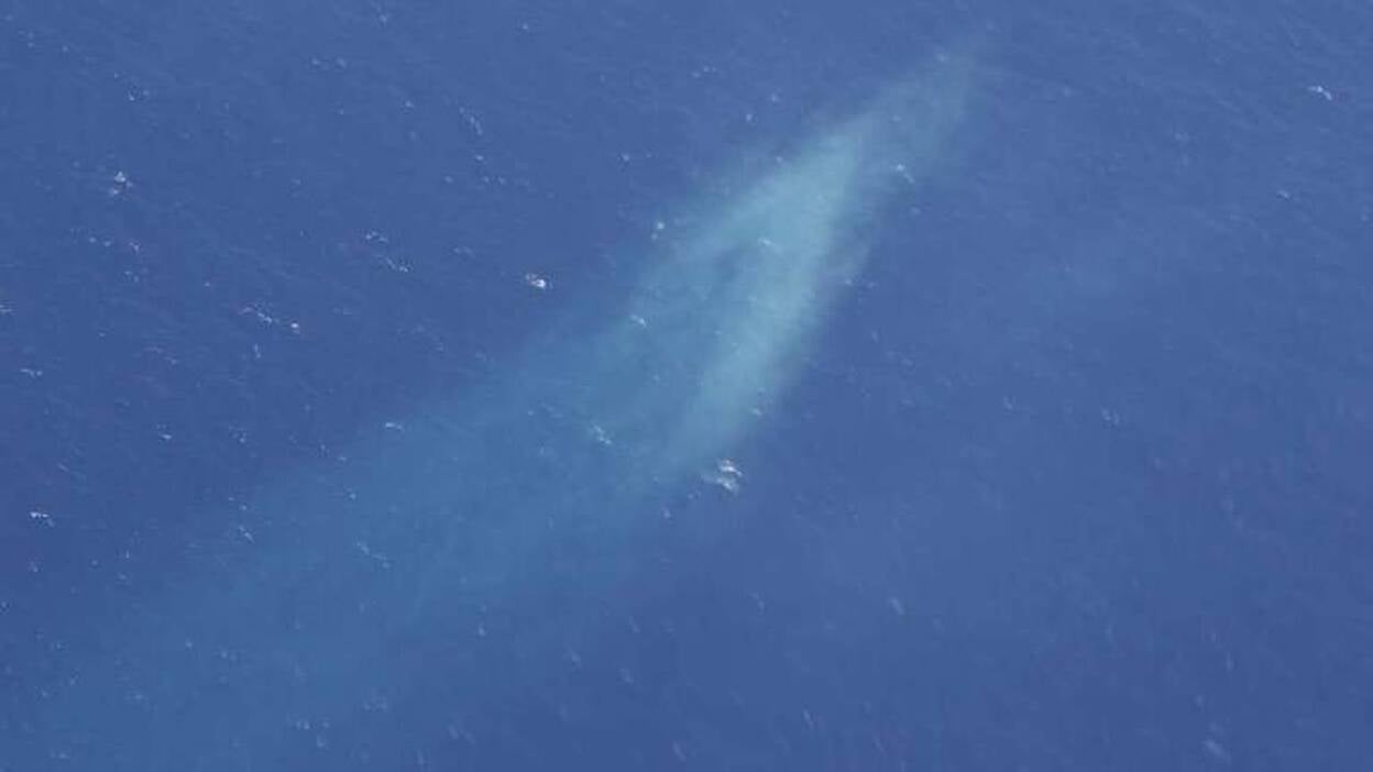 Envían helicóptero para examinar un "objeto amarillo" avistado en el mar