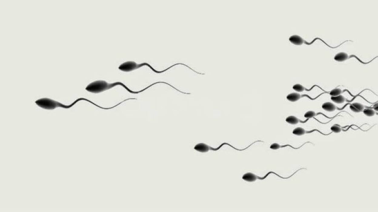 La velocidad de natación del esperma depende de dos proteínas