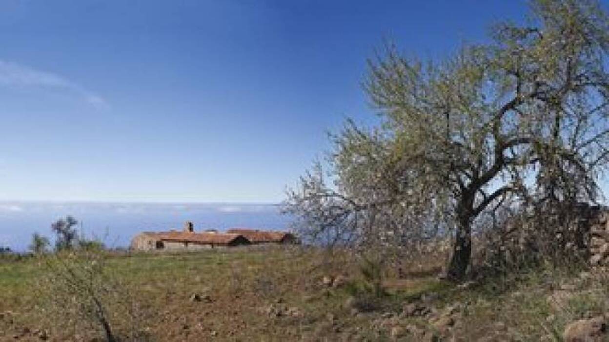 SOS para salvar el paisaje canario