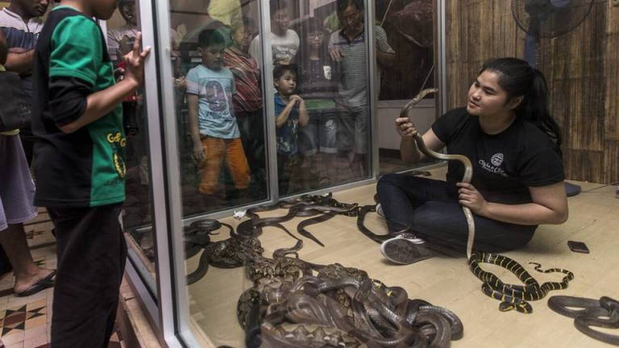 Vivir entre serpientes