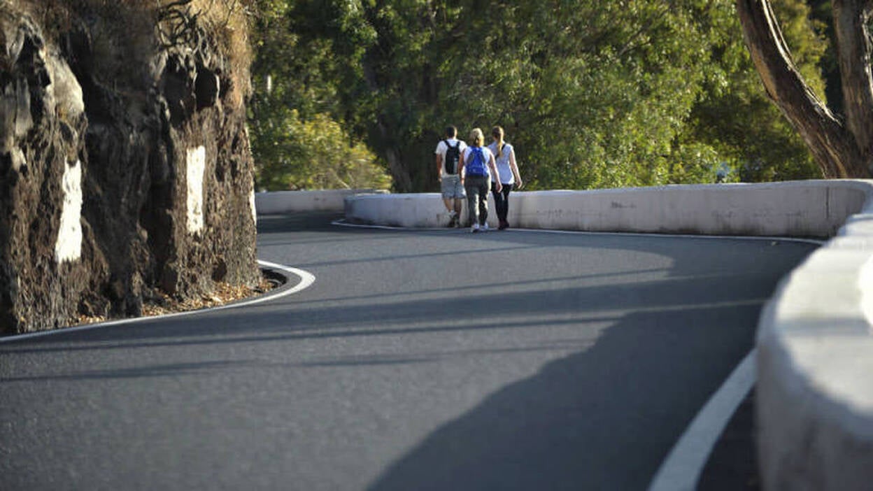 La Virgen del Pino baja de su camarín