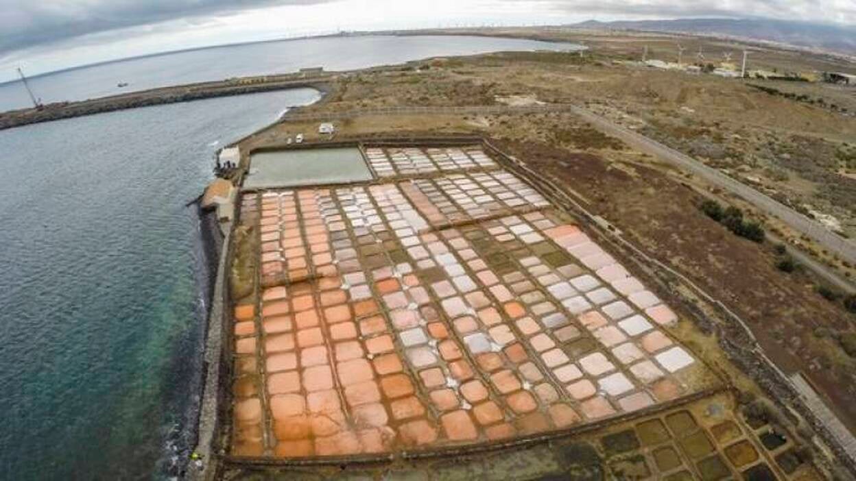 SOS en las salinas de Arinaga