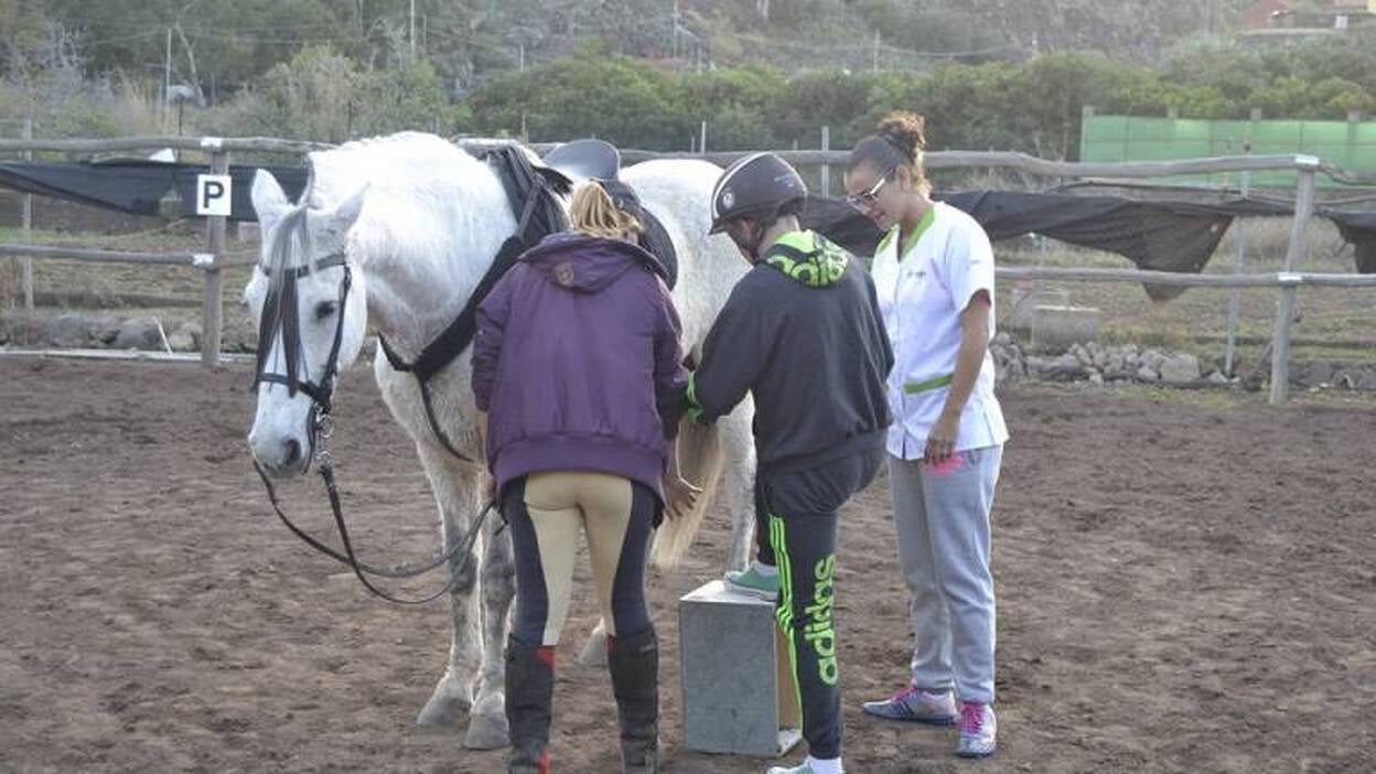 Los caballos como terapia saludable