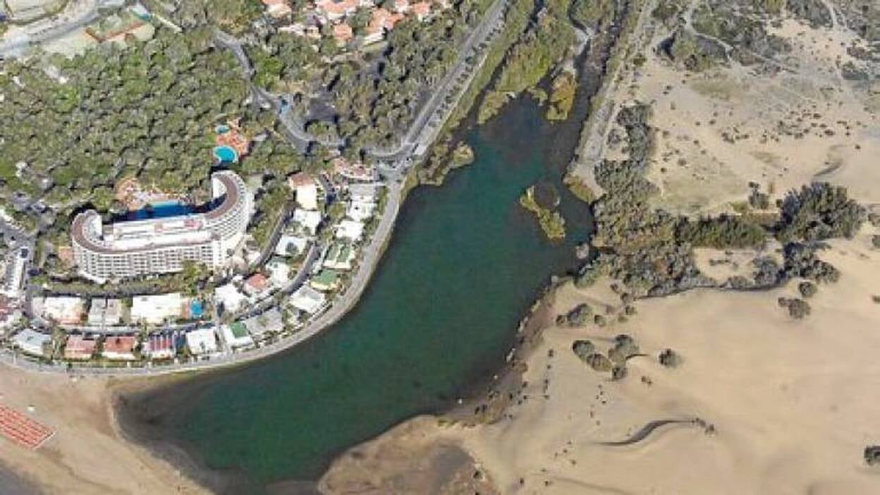 El TSJC tiene en sus manos declarar como BIC el Oasis