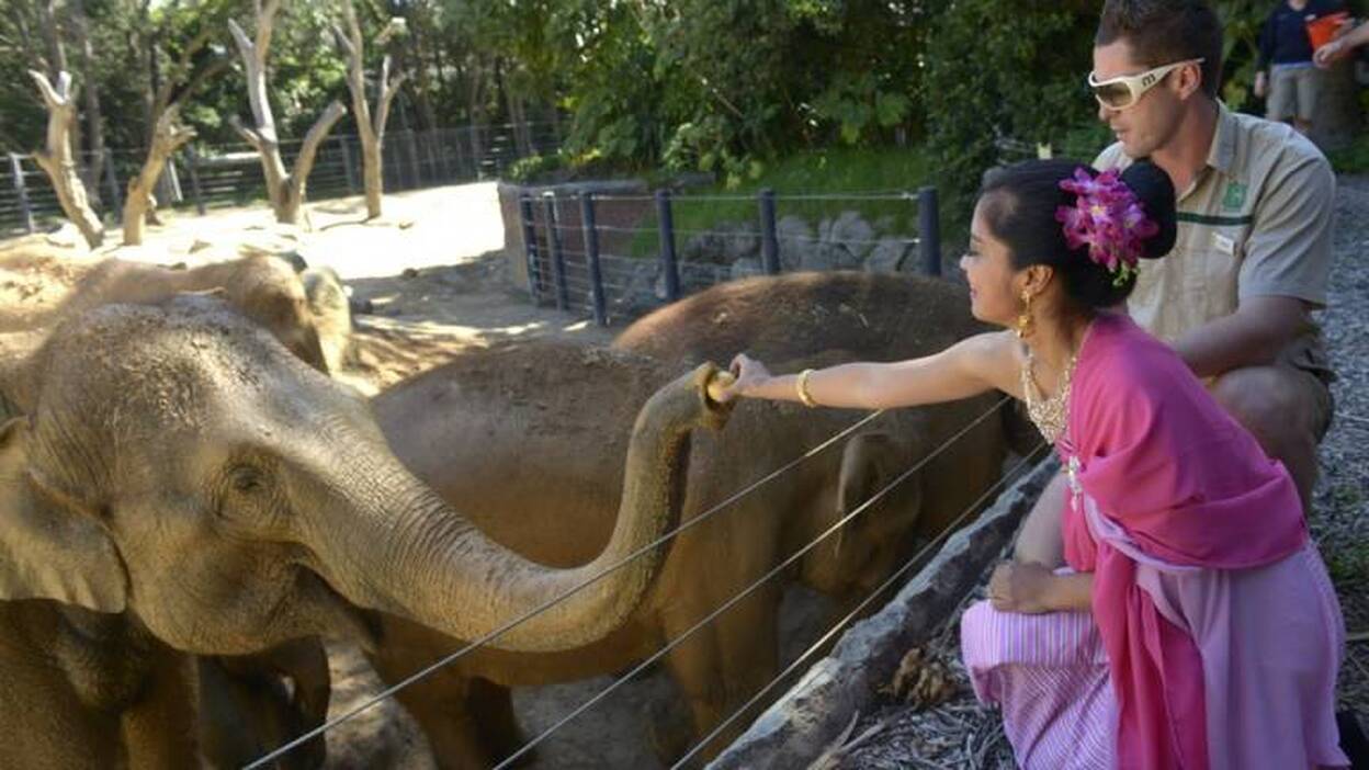 Día Nacional del Elefante
